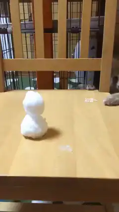 Cat knocks over snowman