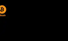 Bitcoin logo moving around screen