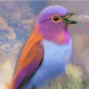 Colorful bird painting animation