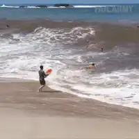 Man gets hit by wave while holding boogie board