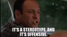 Tony Soprano It's a Stereotype and It's Offensive