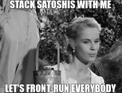 Grace Kelly stack satoshis front-run everybody