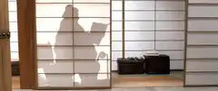 Shadow of person reading on toilet