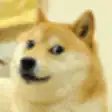 Doge zooming into eye