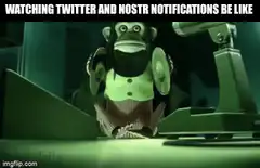 Nostr Monkey Watching Monitors