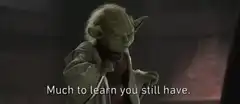 Yoda Much to learn you still have