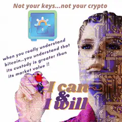 Not your keys not your crypto bitcoin