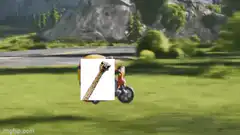 Giraffe on motorcycle LMAO Twitter