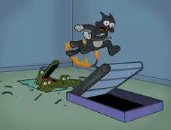 Cat jumps over alligator trap