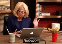 Leslie Knope Blocked on Laptop