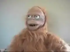 Creepy puppet zooming in