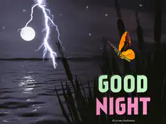 Good Night Butterfly Night Scene