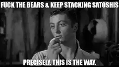 Precisely This Is The Way Bitcoin Meme