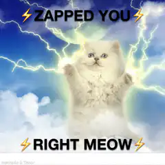 Zapped You Right Meow Cat