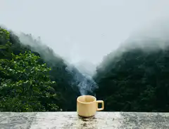 steaming mug overlooking misty mountains