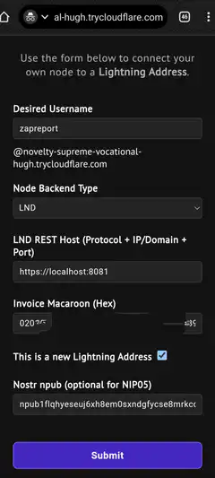 Lightning Node Setup and Zap Report