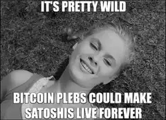 It's Pretty Wild Bitcoin Plebs Meme