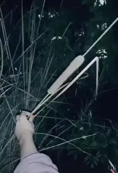 Buying ETH with a cattail