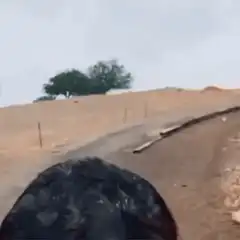 Ostracker selfie laughing
