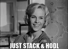 Just Stack and HODL