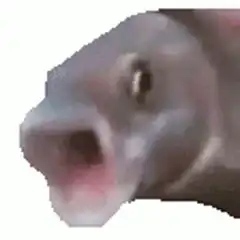 pixelated fish mouth open