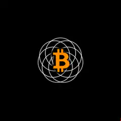 Bitcoin symbol with intersecting circles and text labels
