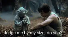 Yoda Judge Me By My Size