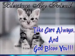 Blessings My Friend Kitten