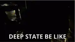Deep State Be Like