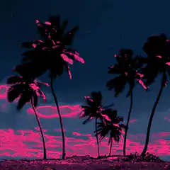 Pink and blue palm trees