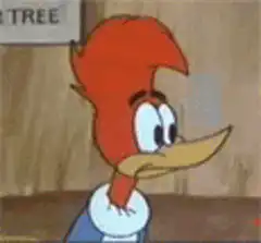 Woody Woodpecker looking confused