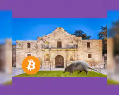 Armadillo walking through various locations with Bitcoin logo