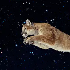 Space Cougar Laser Eyes