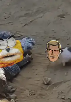 Cat vs Alligator with Cartoon Heads