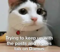 Cat trying to keep up with Damus