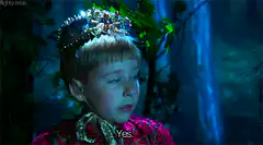 Young boy in crown says yes
