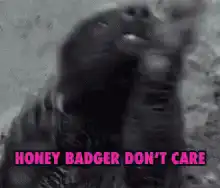Honey Badger Don't Care
