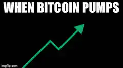 When Bitcoin Pumps