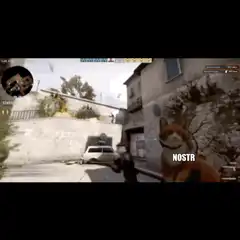 Nostr cat in Counter-Strike gameplay