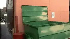 Man falls into dumpster