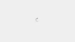 Spinning dots loading animation