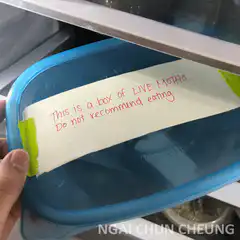 Box of live moths