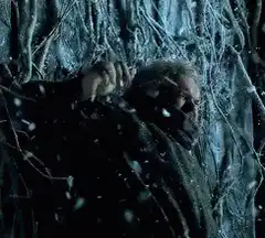 Hagrid in the forest