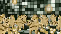 Doge dancing on a disco floor