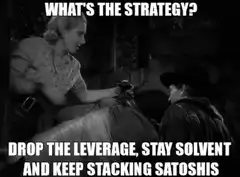 What's the strategy? Drop the leverage, stay solvent and keep stacking satoshis