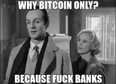 Why Bitcoin Only Because Fuck Banks