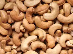 close-up of roasted cashew nuts