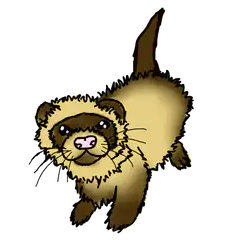 Cute cartoon ferret