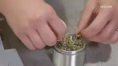 Emma Chamberlain grinding herbs