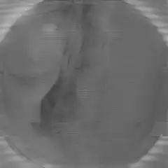 Grainy black and white scanline animation